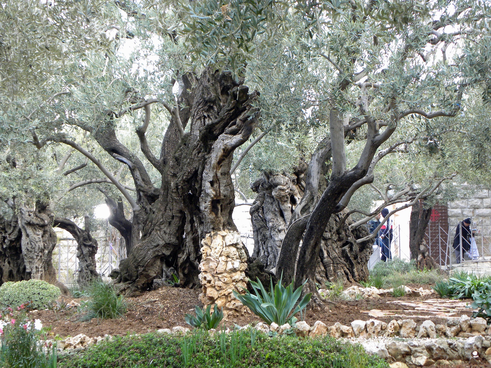 gethsemane-556051_1920