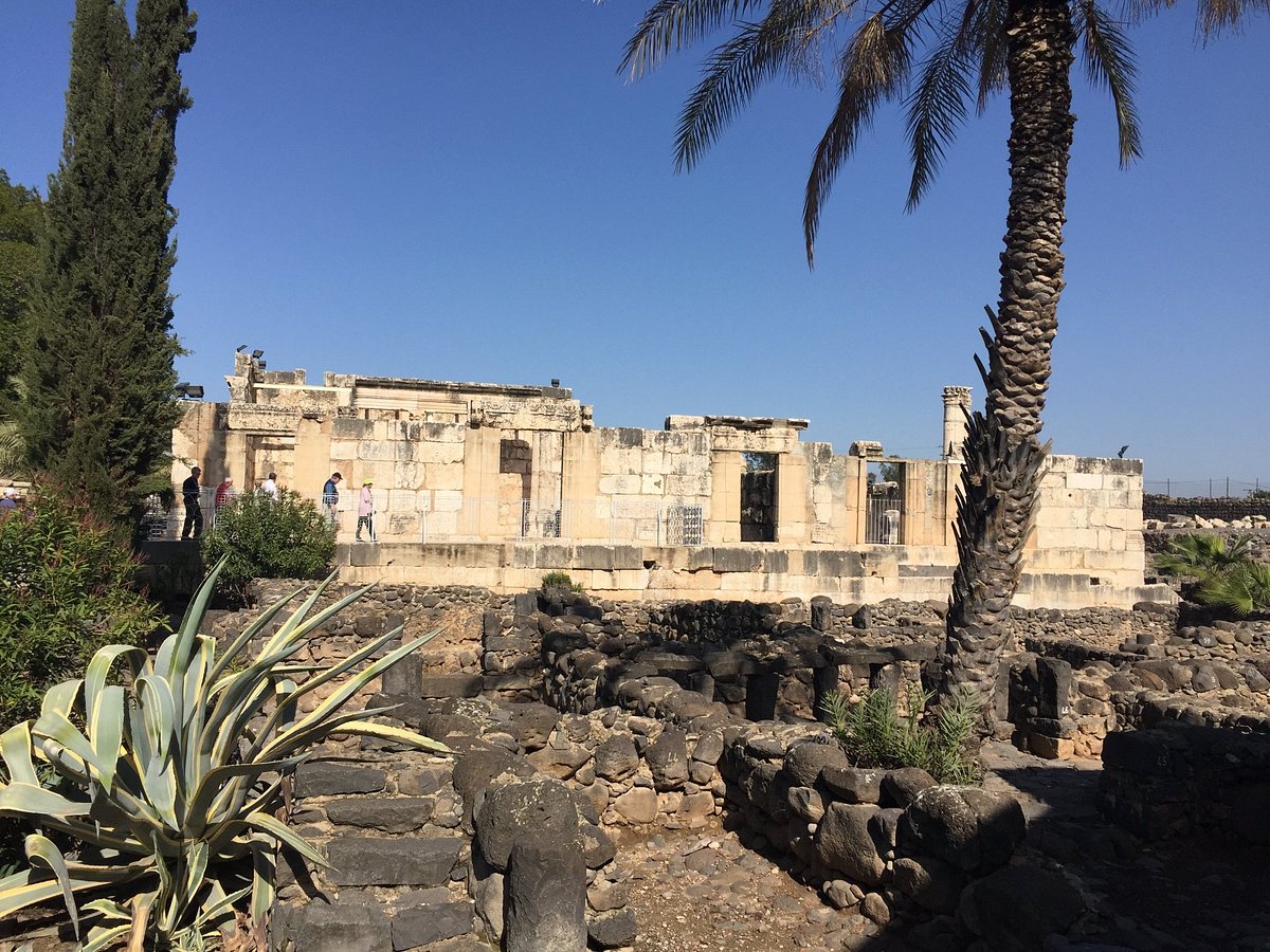 synagogue-at-capernaum